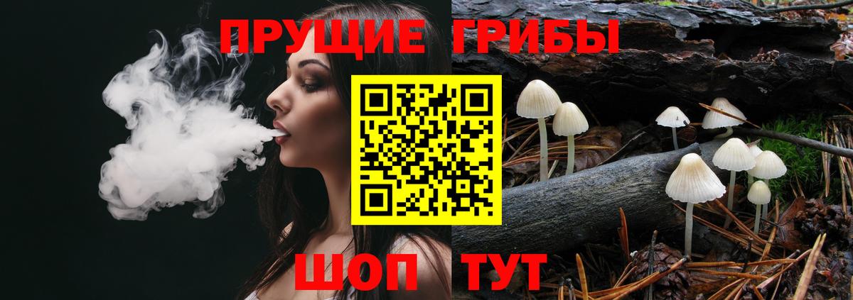 Галлюциногенные грибы Cubensis Алапаевск